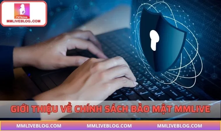 Chính sách là một tập hợp các quy định đi cùng điều khoản